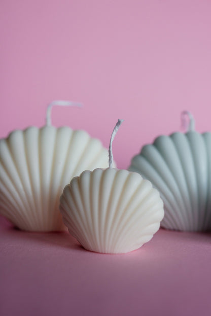 Seashell Shell Candles Set - Soy Wax Decorative Candles