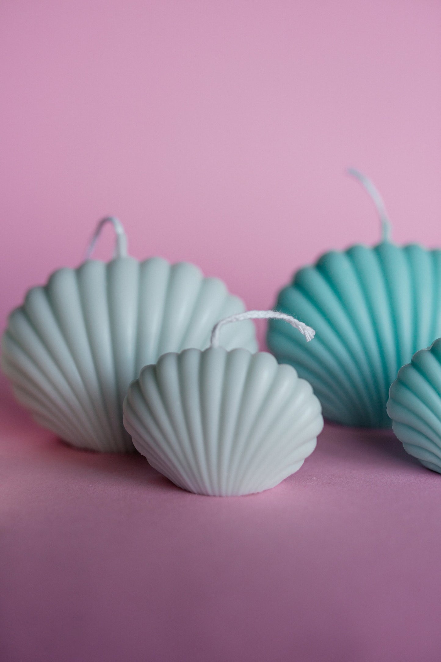 Seashell Shell Candles Set - Soy Wax Decorative Candles