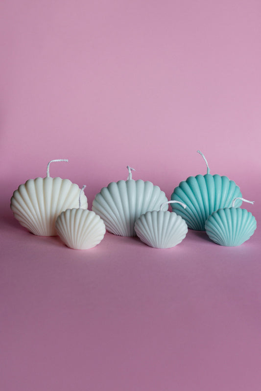 Small and Big Set of Seashell Soy Candles