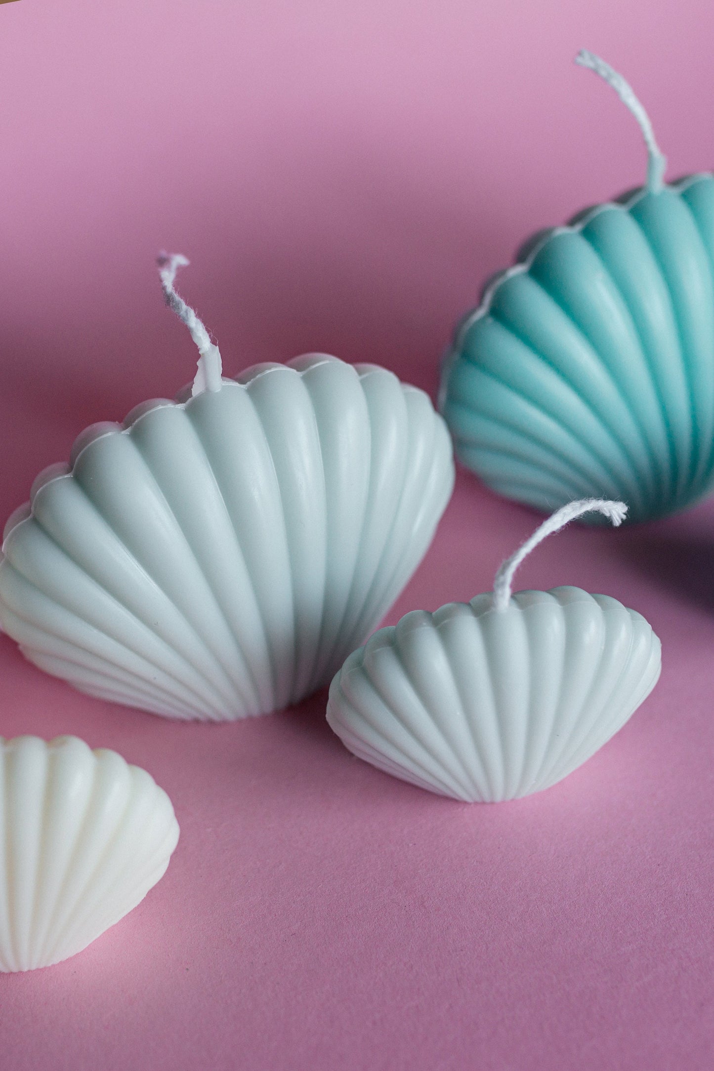 Small and Big Set of Seashell Soy Candles