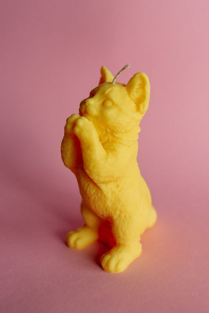 Cute Cat Candle